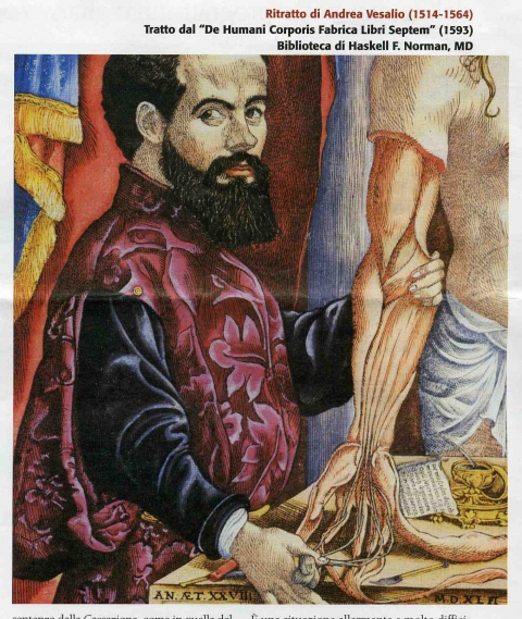 Vesalio primo grande studioso di anatomia